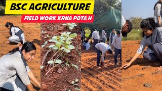 BSc Agriculture Course  BSc Agriculture Student Life  SoA University [upl. by Hgielah605]