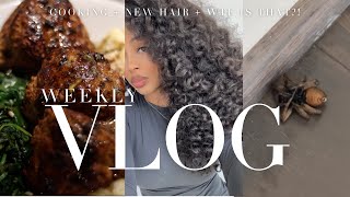 Weekly Vlog Braided Twist Out Tutorial  Slaying a Dragon  Making the Leap  Cooking  More [upl. by Meridith]