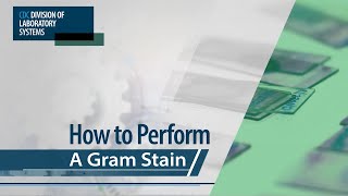 How to Perform a Gram Stain [upl. by Akirdnuhs]