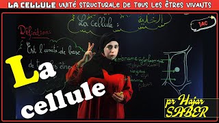 quotLa cellule  unité de base de tous les êtres vivantsquot 1AC [upl. by Aiblis]