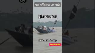 বন্ধু তুমি ভরা নদীর জোর ভাটা না shortvideo vairalshort বন্ধু [upl. by Marvella916]