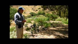 Creek Restoration Site Santa Cruz Island Channel Islands National Park [upl. by Daniella]