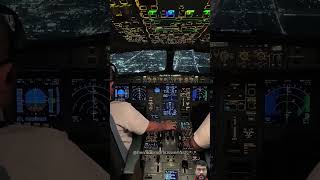 A330 Landing 🛬 cockpit view flight flight lovers [upl. by Sorgalim]