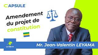 AMENDEMENT DU PROJET DE CONSTITUTION  GABON [upl. by Mercado804]