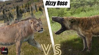 American Lion vs Hyaenodon Gigas 2024 [upl. by Kcirdneked]