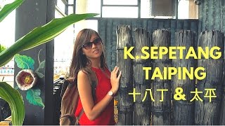 TRIP TO VISIT KUALA SEPETANG 十八丁 amp TAIPING 太平 │Travel Malaysia Guide [upl. by Anwahsed174]