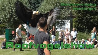 Roofvogelshow in Hekelingen [upl. by Yvi]