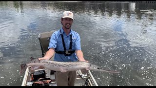 Longnose Gar Fishing With Rope Lures New PB [upl. by Alexandrina]