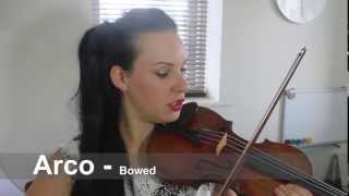 Violin Bowing Terms Explained [upl. by Hillier]