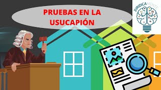 PRUEBAS EN LA USUCAPIÓN [upl. by Clayberg]