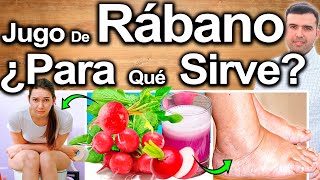 JUGO DE RÁBANO EN AYUNAS  ¿Para Qué Sirve El Rábano  Beneficios Para Tu Salud Y Belleza [upl. by Navonod]