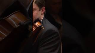 Today is the 73rd anniversary of Strauss death Heres the concertmaster solo of his 4 last songs [upl. by Tris]