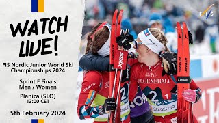 LIVE FIS Nordic Junior World Ski Championships 2024 Planica  Sprint F Finals Men amp Women [upl. by Aleik]