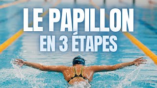 APPRENDRE LE PAPILLON EN 3 ÉTAPES [upl. by Alwitt]