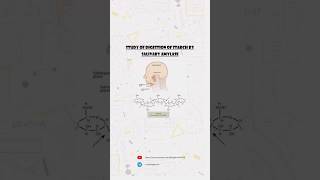 Chemistry Investigatory Project on To Study the Digestion of Starch by Salivary Amylase [upl. by Idolla957]