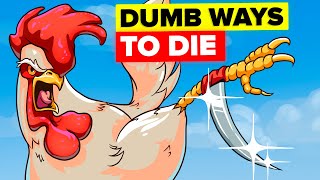 Dumb Ways to Die  Lyrics On Screen HD [upl. by Annunciata]