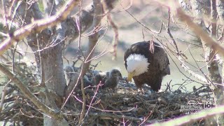 Floyd Trudgens Wildlife Photography [upl. by Leeke]