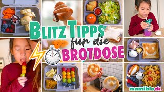 Schnelle ⚡️ Tipps für die Brotdose  Frühstück für Kita und Schule  Brotdosenvergleich  mamiblock [upl. by Burtie]