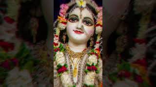 Meri ladli ke jaisa koi dusra nhi h 💞🌸🤌🥰love radharani radha radheradhe barsanaladli [upl. by Payne]