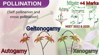 Autogamy Geitonogamy and XenogamyBest way to understand different types of pollination NEET bio [upl. by Jillane]