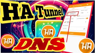 HA Tunnel with DNS Settings  StepbyStep Tutorial [upl. by Nickolai984]