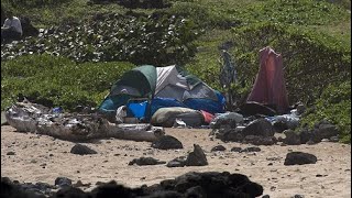 Maui Homeless ARE Everywhere  Did Large Landowners Ignore Brush Abatement [upl. by Awad]