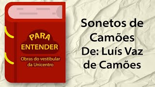 Para Entender  Sonetos  Vestibular Unicentro 2024 [upl. by Inan]