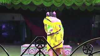 Dauna Dauna Odia jatra party full video [upl. by Nhguavahs392]