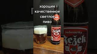 пиво Ёжик  пивной обзор 33  pivo svetly lezak  пиво пивоварение пивоварня пивнойобзор beer [upl. by Ellinej]