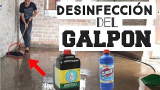 COMO🤔 DESINFECTO MI GALPON 🐥😁 crianza de pollos y gallinas [upl. by Anertak]