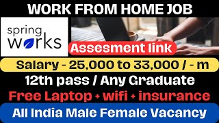 SpringWorks  Work From Home Jobs  Freshers Job  12th Pass  Salary  30000  JobbySoumya [upl. by Caye]