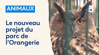 Fini le zoo de lOrangerie découvrez à quoi va ressembler le nouveau parc animalier à Strasbourg [upl. by Ecyt506]