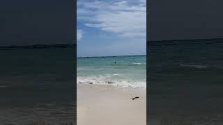 Mexico  Beachwalking in Cancun Summer vacation in Playa del Carmen Shorts [upl. by Nnod]