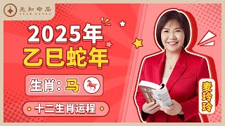 麦玲玲师傅详解2025蛇年运程：生肖马！事业运、财运、人际关系、爱情、婚姻、健康全解析！ [upl. by Pippy]