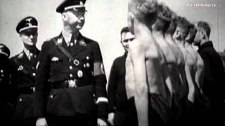 Did you know Heinrich Himmler leader of the SS had a private doctor who was a Jew [upl. by Anairad213]