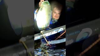 Spearing blue fish by hand air fishing bamboo fish bluebone wildlife [upl. by Louls]