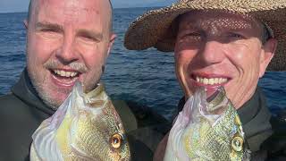 Croatia 2024  Spearfishing Holiday [upl. by Dudden805]