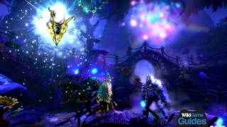 Trine 2 Walkthrough  Part 02 [upl. by Schaab]