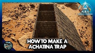 How to Make a Achatina Trap in Ark Survival Ascended [upl. by Remle]