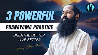 3 Powerful Pranayama Practice  Cleanse Your Channels Cleanse Your life  Himalayan Siddhaa Akshar [upl. by Liatrice183]