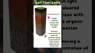 Soil Profile and Soil Horizons I Layers of Soil I Soil I Geography [upl. by Rambort]