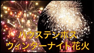 【ウィンターナイト花火】ハウステンボス・ホテルアムステルダム裏にて鑑賞 Winter Night Fireworks Huis Ten Bosch Resort 2024223 [upl. by Ahseim]