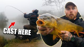 Learn to Method Feeder Fish for BIG CARP [upl. by Madelon]