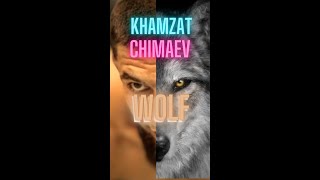 KHAMZAT CHIMAEV UFC HIGHLIGHT PERFORMANCE khamzatchimaev [upl. by Erroll]