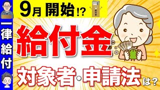 【2024年最新】9月開始新たな給付金が発表！秋に一律給付金の可能性は！？給付スケジュールや対象者・申請方法・給付金額について解説！ [upl. by Samale468]