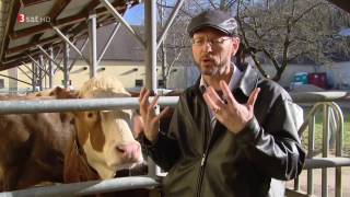 Doku Newton  Die Sprache der Tiere HD [upl. by Erlewine]