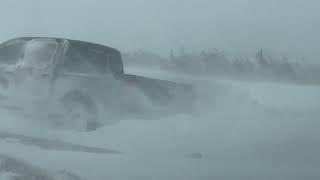 Cars Stranded in Texas Amid Whiteout Conditions [upl. by Analart]