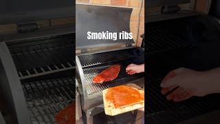 Bringing BBQ to a whole new level these ribs are pure magic bbq smokingmeat zgrills smokedribs [upl. by Enorahs]