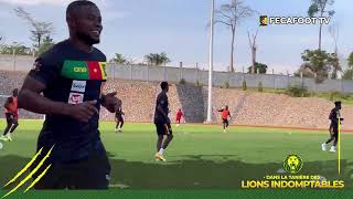 Cameroun  Jamaïque Séance dentraînement du vendredi 5 novembre 2022 des LionsIndomptables [upl. by Sirovat]