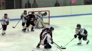 High School girls hockey highlights St Marys 4 Reading 3 [upl. by Wanda244]